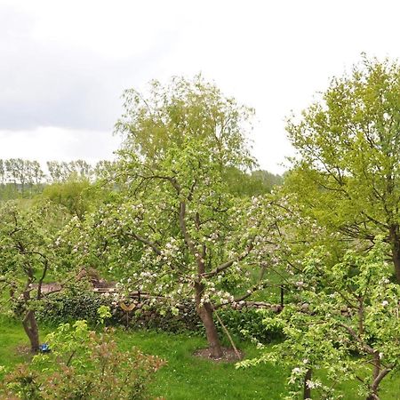 Sommerferienhaus ออสท์เซบาด นีนฮาเกิน ภายนอก รูปภาพ