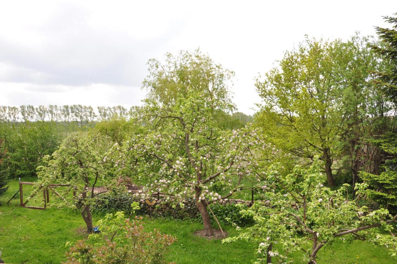 Sommerferienhaus ออสท์เซบาด นีนฮาเกิน ภายนอก รูปภาพ
