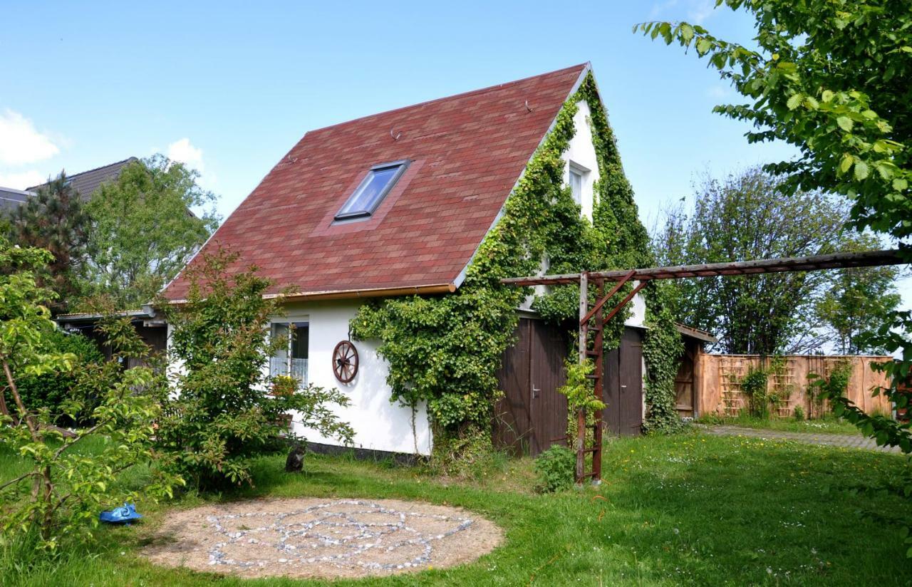 Sommerferienhaus ออสท์เซบาด นีนฮาเกิน ภายนอก รูปภาพ
