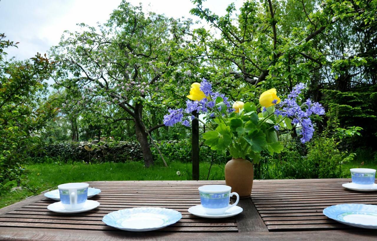 Sommerferienhaus ออสท์เซบาด นีนฮาเกิน ภายนอก รูปภาพ
